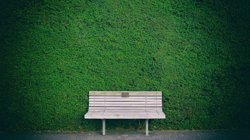 Bank vor einer gepflegten Hecke