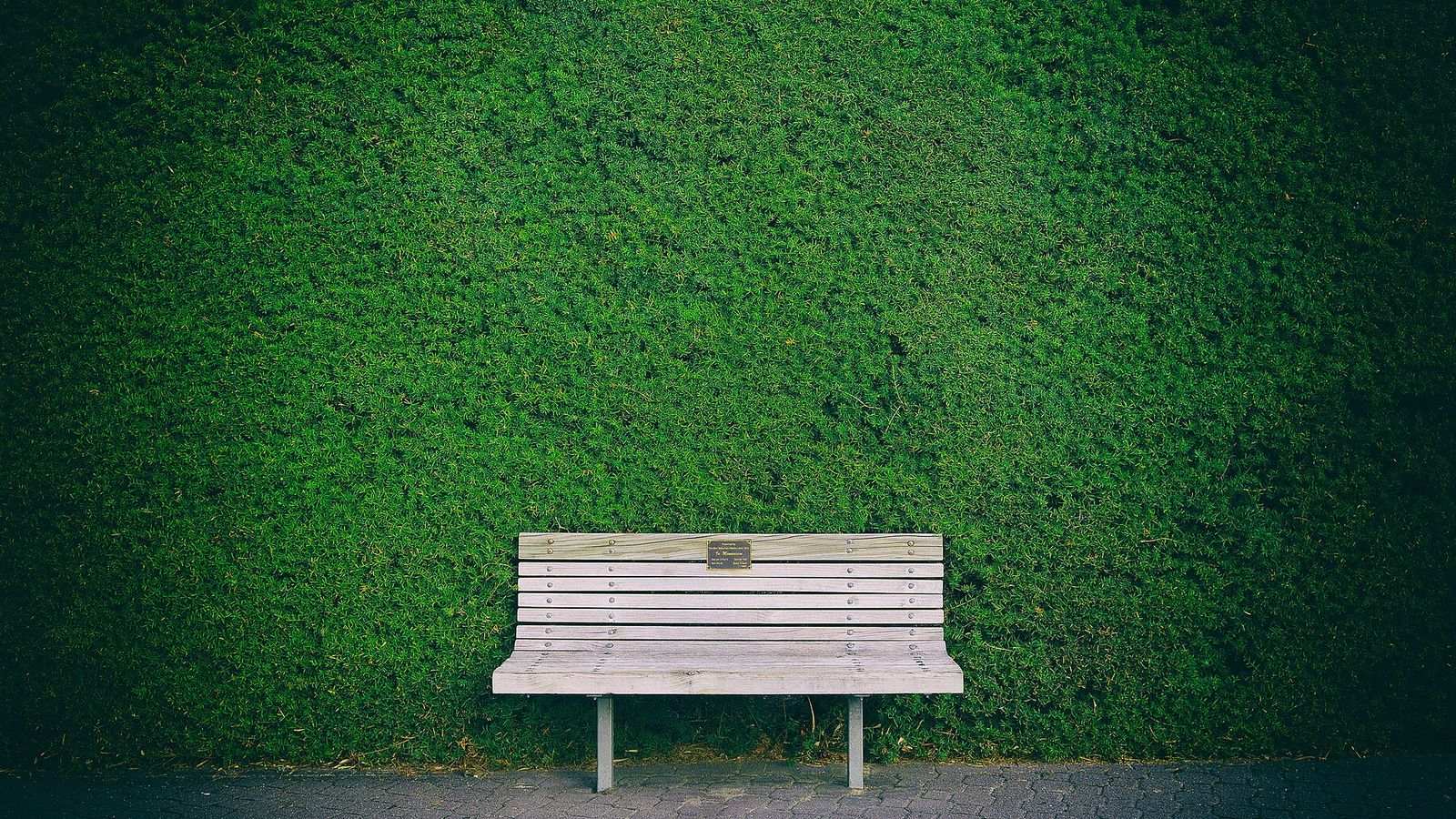 Bank vor einer gepflegten Hecke